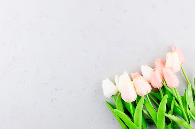 Top view on Beautiful pastel tulips bouquet on grey concrete background, Spring or holiday concept, Easter or Valentine's day, birthday. Copy space, template mockup greeting card,  place for text,