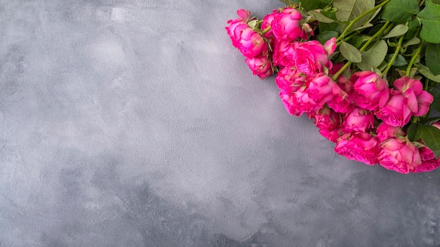 Top view of beautiful pink roses