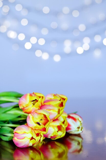 Top view of beautiful pink, yellow tulips on blue background with bokeh. Greeting card. 8 March.