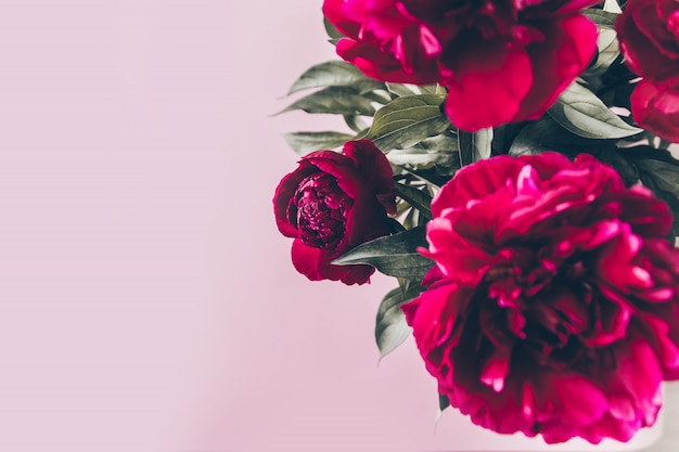 Top view of beautiful red peony flowers bouquet in vase