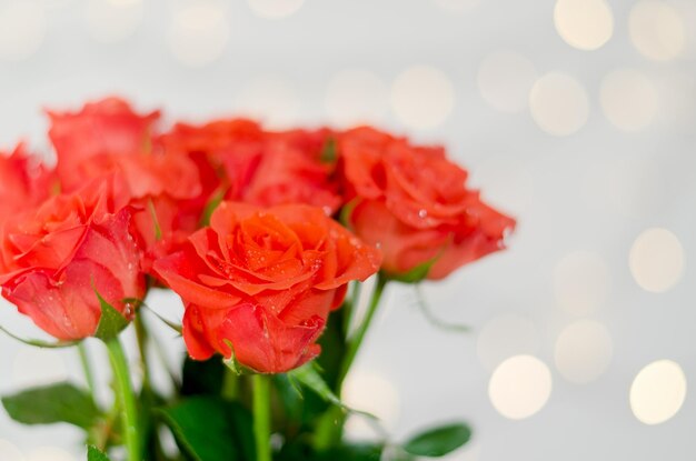 Top view of beautiful red roses bouquet against white background with bokeh. Greeting card. 8 March.