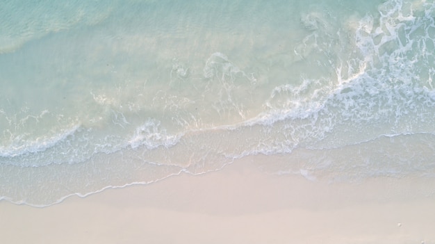 top view bird eye of sea sand beach background concept.