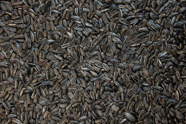 Top view black sunflower seeds on dark background corn oil color cips seed photo