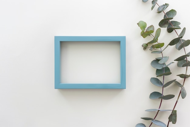 Top view of blue border picture frame and eucalyptus populus branch