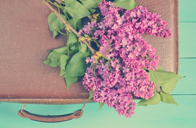 Top view of bouquet of blue lilac isolated