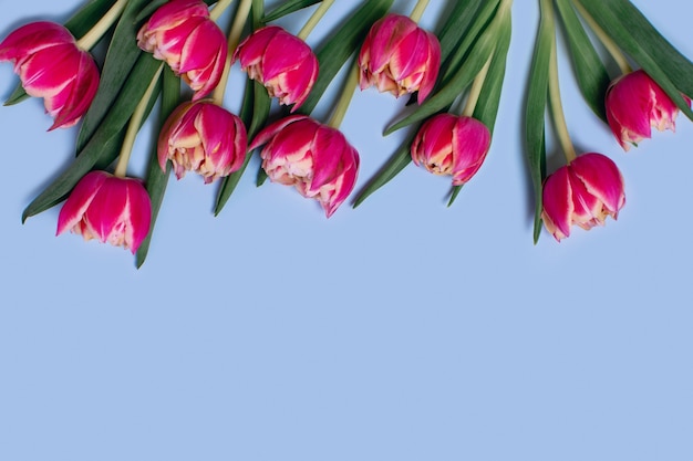 top view bouquet of tulips