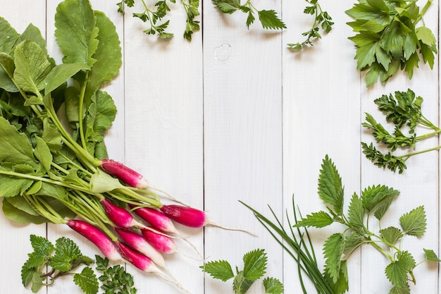 Top view of bunch of fresh radishes and herbs