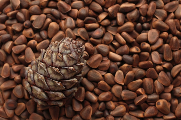 Top view of a cedar cone on the background of pine nuts