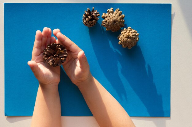 Top view of child hands holding cones on the blue background