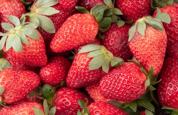 Top view closeup of a group of strawberries