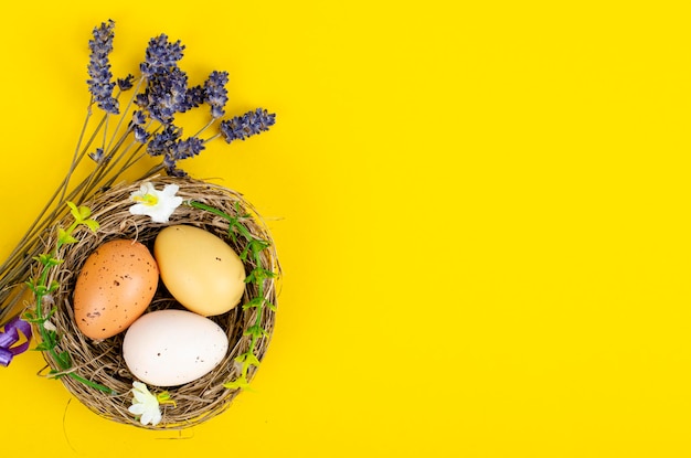 Top view of color easter haqndmade eggs and nest flatlay. Trendy minimal design spring  background. Space for text. Stuio Photo