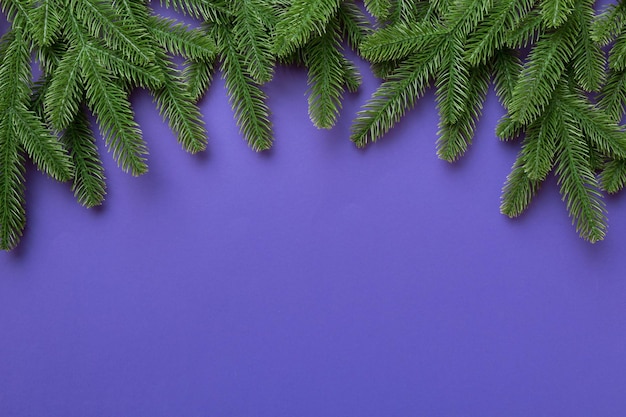 Top view of colorful background made of green fir tree branches new year holiday with copy space