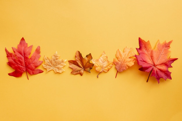 Top view colorful leaves on yellow background