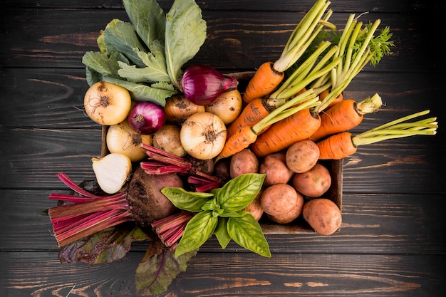 Top view composition of different vegetables