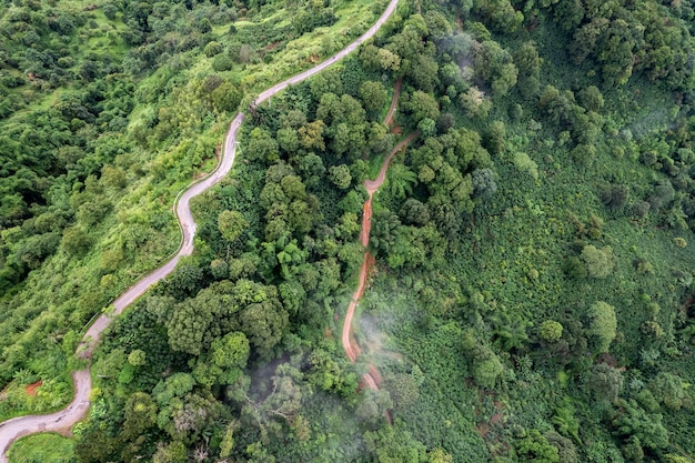 Top view of countryside road passing through the green forrest and mountain