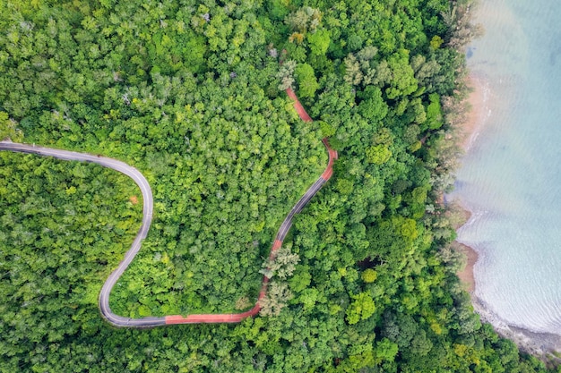 Top view of countryside road passing through the green forrest and mountain