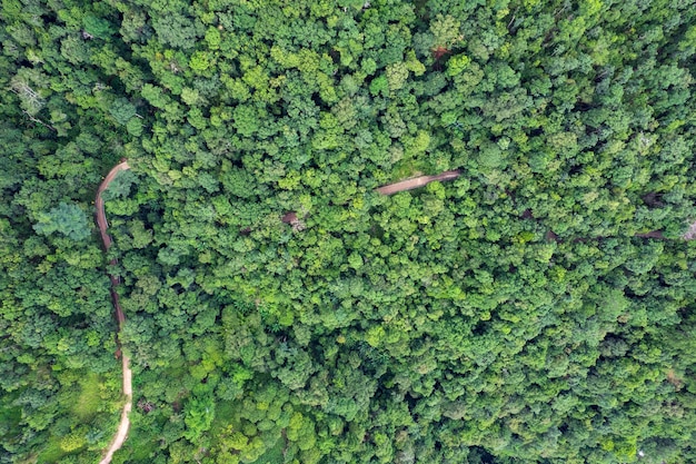 Top view of countryside road passing through the green forrest and mountain