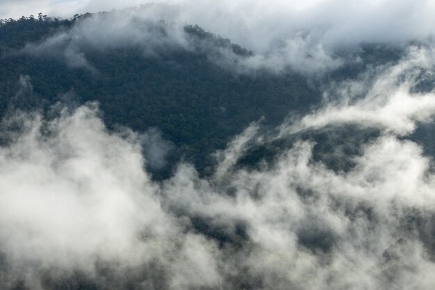 Top view of countryside road passing through the green forrest and mountain