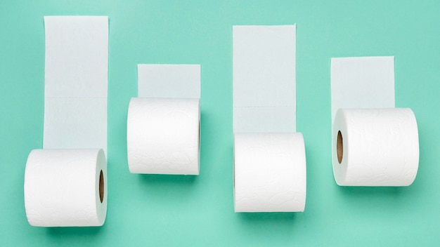 Top view of different toilet paper rolls