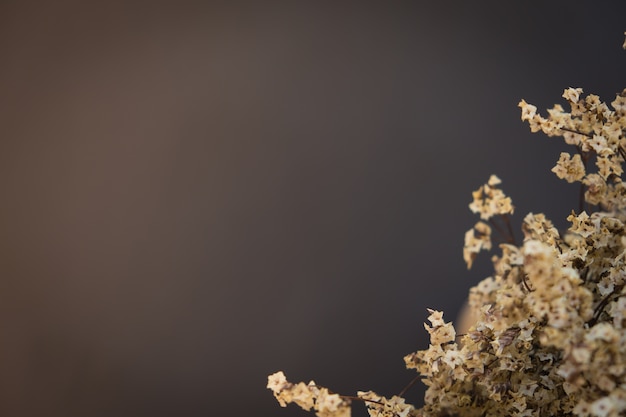 Top view of dried flowers on top black background. copy space for your text 