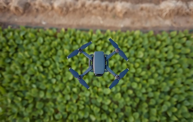 Photo top view drone in agriculture field drone in soybean crop