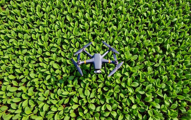 Photo top view drone in agriculture field drone in soybean crop