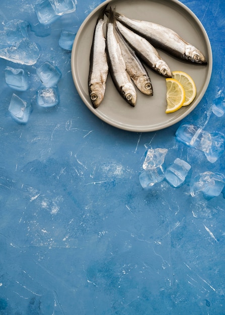 Top view fish on plate with lemon slices