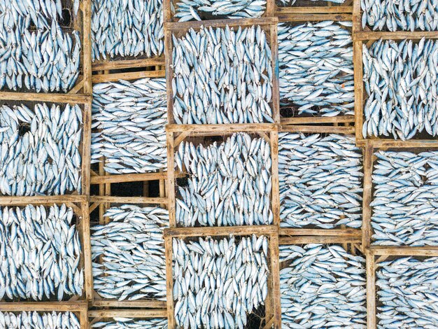 Top view fisherman in fishing villageThey was drying fresh fish on a wooden grid for the market Traditional dried Blue scaled herring fish drying on racks Lifestyle concept