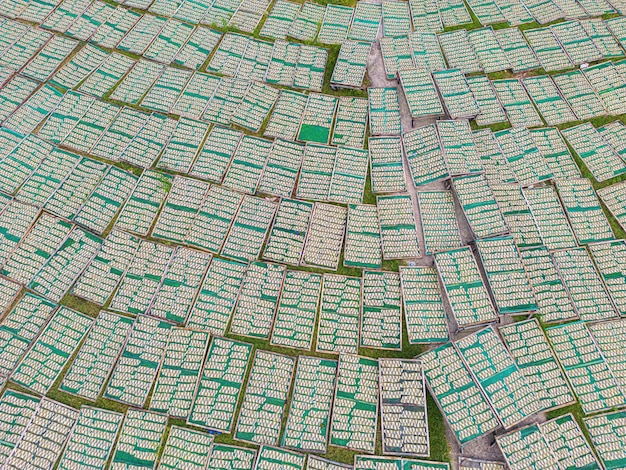 Top view fisherman in fishing villageThey was drying fresh fish on a wooden grid for the market Traditional dried Blue scaled herring fish drying on racks Lifestyle concept