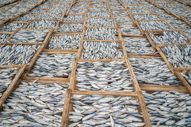 Top view fisherman in fishing villageThey was drying fresh fish on a wooden grid for the market Traditional dried Blue scaled herring fish drying on racks Lifestyle concept