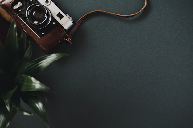 Top view of a flat lay film camera in a case lies on a black table next to a plant in a pot