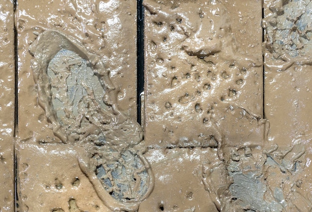 Top view footprints on mud field