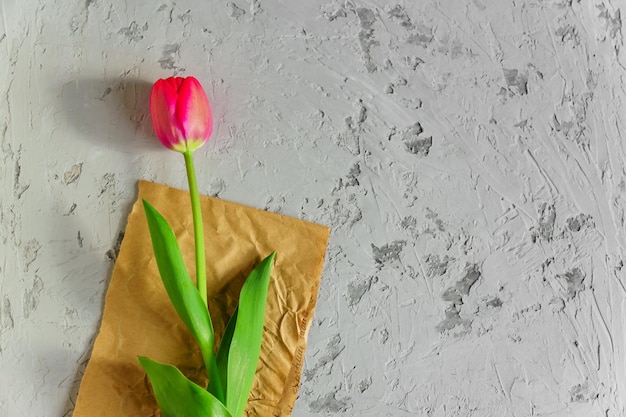 top view of fresh blooming red tulip on craft paper and gray textured background Copy space