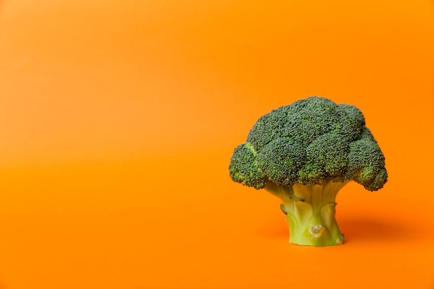 Top view fresh green broccoli vegetable on Colored background Broccoli cabbage head Healthy or vegetarian food concept Flat lay Copy space