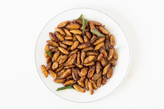 Top view of Fried insects in dish on white background