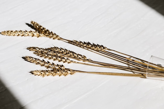 Top view of golden painted ears of wheat