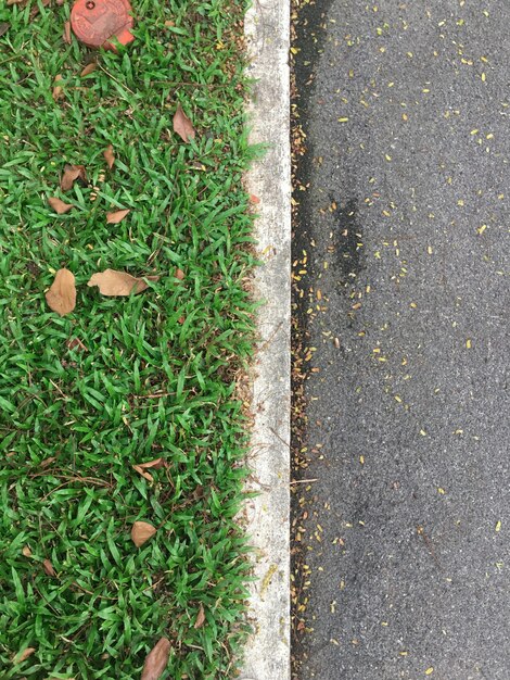 Top view green grass and Asphalt road separated by white concrete lines