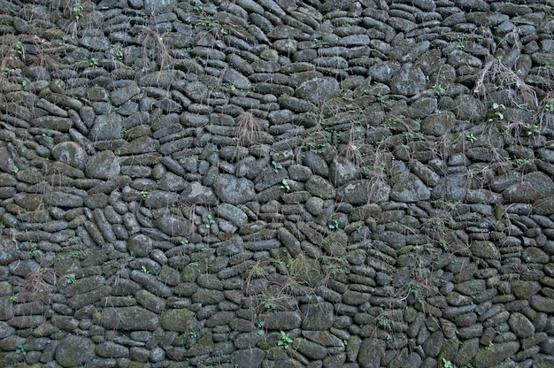 Top view of grey stone floor with small plants