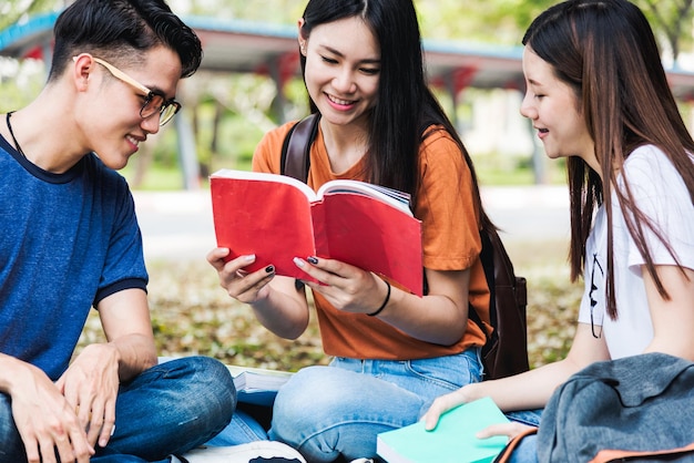 Top view high angle group of male and girl students are during reading books, Education concept