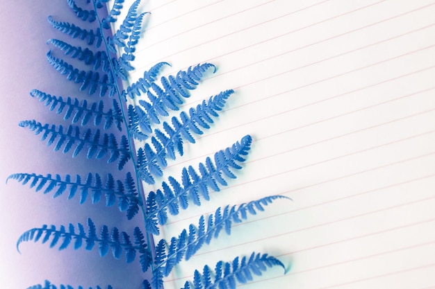 Top view image of open notebook with blank pages on white desk that was covered by fresh green fern