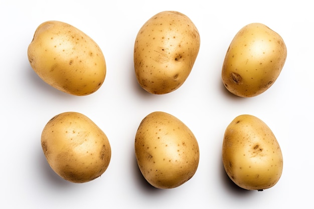 Top view of isolated potatoes on white background