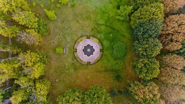 Top view of a lawn in the middle of the forest. Aerial view.