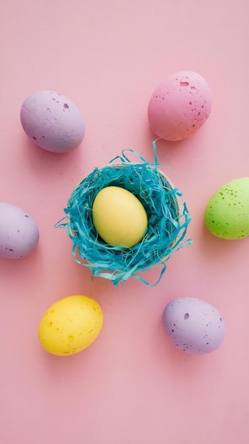 Photo top view layout with colored easter eggs on pink background