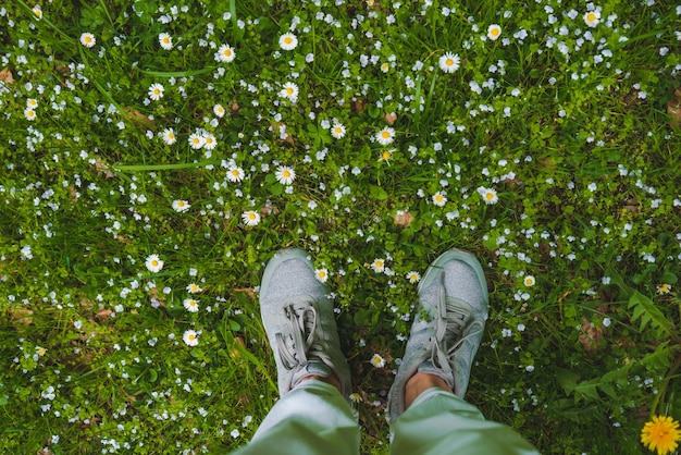 Top view legs in grey shoes on grass with white flowers copy space