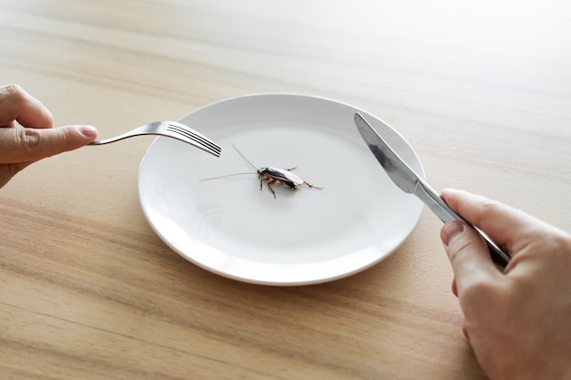 Top view, a man eating a cockroach. Cockroach in a white plate on the kitchen table. Strange taste preferences