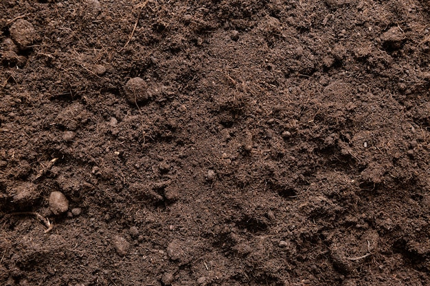 Top view natural soil