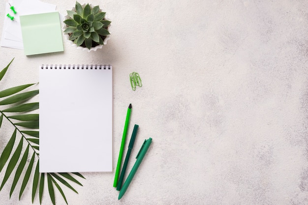 Top view of notebook on desk with succulent plant and leaves