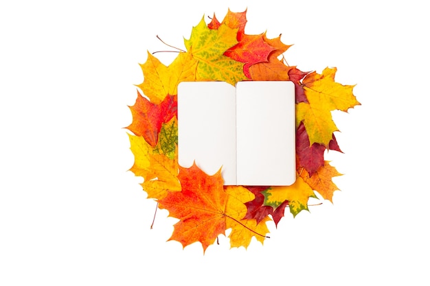 Top view of a notebook with autumn leaves isolated on white background. Colorful maple leaves and blank pages of diary book. Autumn mockup, copy space, education concept