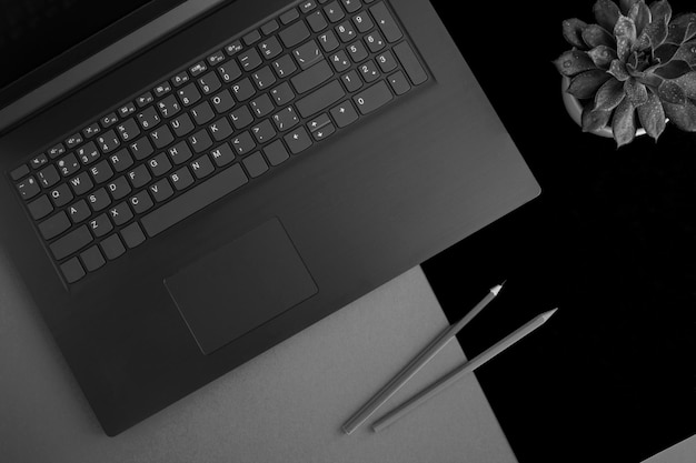 Top view of office desk with laptop pencils and cactus on the gray background Flat lay of workspace desk