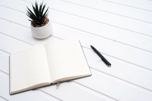 Top view open notebook, pen and plant potted on white desk background